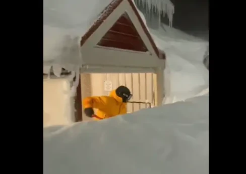 ...